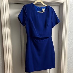 Rubber Ducky Productions, Inc. Royal Blue Mini Dress